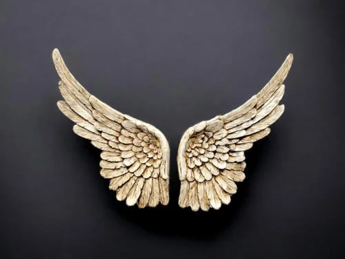 Skrzydła Anioła na ścianę - wiszące -  30 x 40 cm figurka dekoracyjna gipsowa